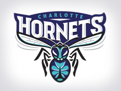 Charlotte hornets concept 2