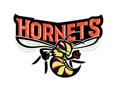 JRM Hornets basketball hornet illustration insect mascot sports