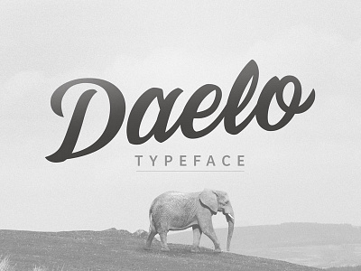 Daelo Typeface cursive font hand drawn lettered lettering script text type typeface