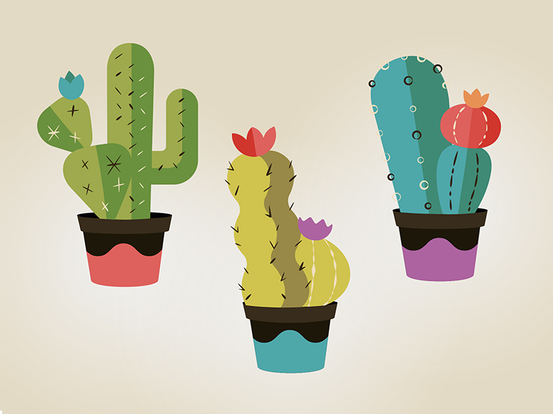 Little Cactus.