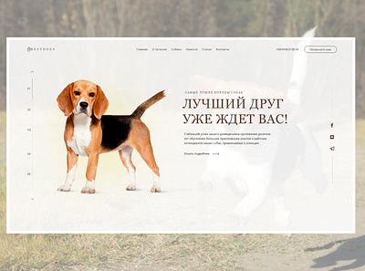 Сервис разведения породистых собак! app art design icon illustration logo ui ux web website