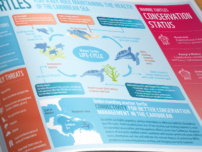 WWF - World Wildlife Fund caribbean infographics turtles wwf