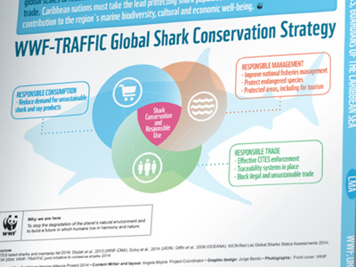 WWF - World Wildlife Fund caribbean infographics sharks wwf