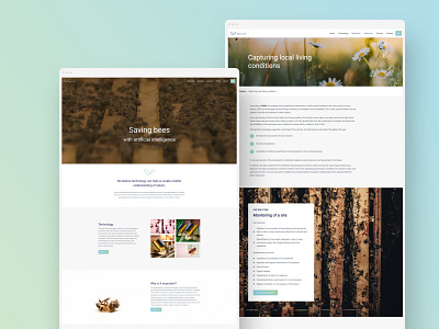 Webdesign for a Startup that saves Bees with AI ai bee branding landing page startup technology webdesign website