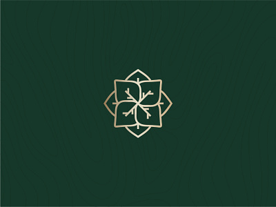 Spa Logo branding logo spa