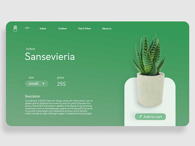plant shop green plant ux uxui webdesign