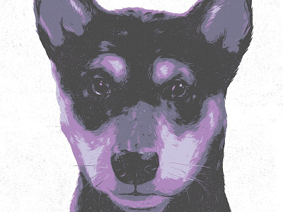 Hudson dog drawing illustration shiba inu