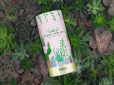Plant Lady Kit Product Design graphic design illustration monsterra package design packaging painting plants product design product development succulents watercolor