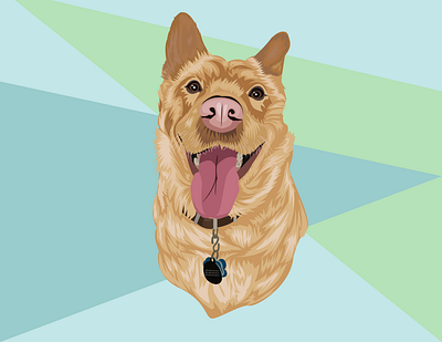 Dog Vector Portrait dog dog art dog illustration doggy illustration vector vectorart