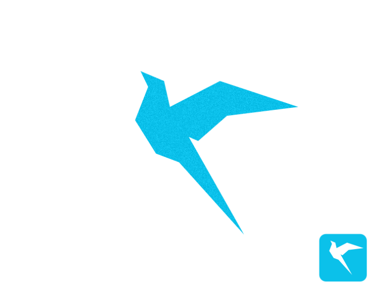 Bird Logo Design by Anuvab Sikder on Dribbble