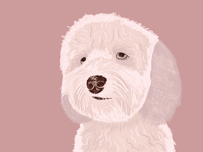 Kinnley the fluffy dog dog illustration pink portrait print procreate