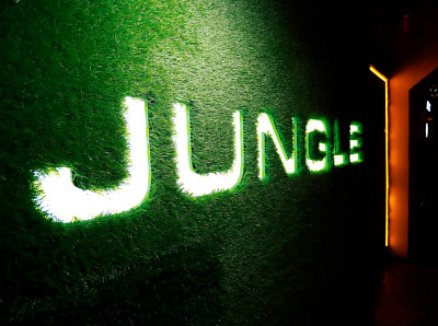 jungle logo & identity branding identity logodesign