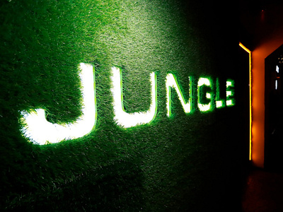 jungle logo & identity