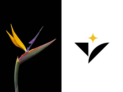 African Bloom Strelitzia Logo Mark