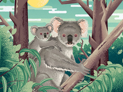 Koala