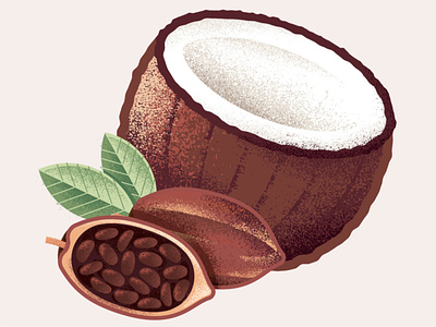 Cocoa Coconut Flavor Icon baby food chocolate cocoa coconut food icon illustration illustrator package design packaging texture vector