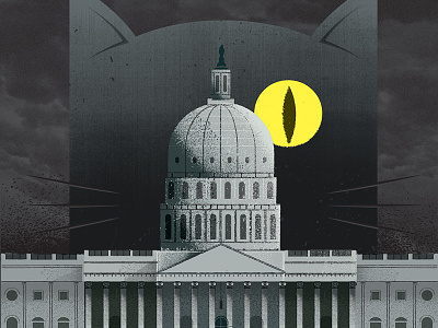 Haunted Capitol architecture building capitol cat distress editorial ghost haunted moon texture washington dc washington post
