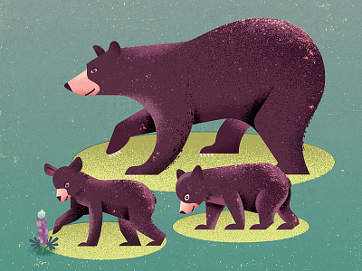 Bear Family animals bear bears cub cubs family flower illustration nature poster screenprinting wildlife