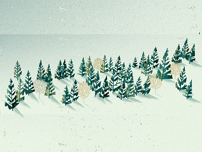 Forest distress fir forest isolation nature pine snow texture tree winter