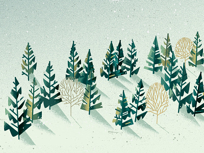 Forest detail distress fir forest isolation nature pine snow texture tree winter