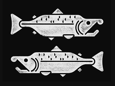 Salmon animal distress editorial fish icon illustration pacific northwest pnw salmon texture wildlife