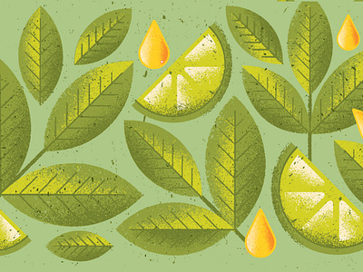 Matcha alcohol food honey illustration leaves lime liquor matcha nature package packaging pattern tea texture