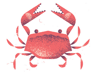 Crab animal aquatic coast crab distress food illustration ocean sea texture wildlife