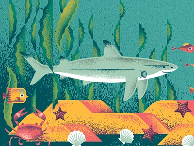 Bumbershoot Shark animal bumbershoot crab festival fish kelp music ocean puget sound sea seattle seaweed shark