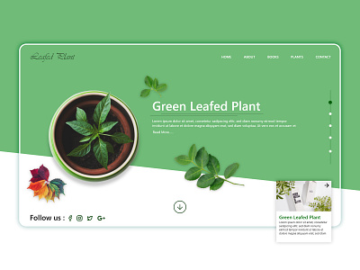 Green leafed plant web template branding design design inspiration inspiration interface intraction sars infotech template design typography ui user experience design user interface ux website