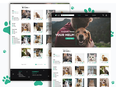 Animal Adoption site design flat ui ux web web design web ui web ui ux website website concept