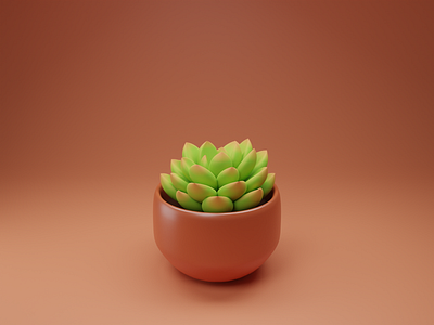 Succulent Plants