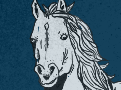 Horse Line Drawing - Colored line drawing textures wacom