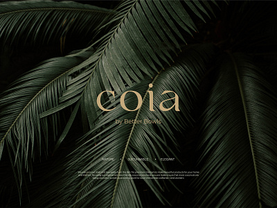 Logotype for brand of cocoa bowls