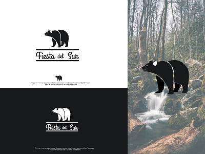 fiesta del sur animation art branding design flatdesign graphic design icon illustration illustrator logo vector
