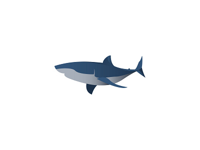 shark animation art blue branding darkblue design graphic design gray icon illustration illustrator logo pet shark vector