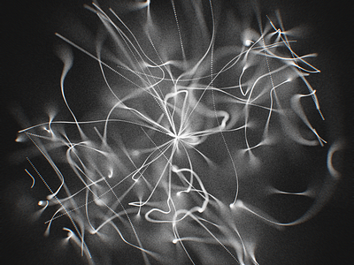 Catching Fireflies creative coding generative generative art glsl made with code monochrome motiongraphics processing