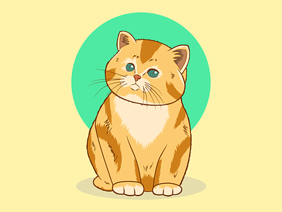 Kitty cat design feline illustration illustrator kitty mascot pet vector