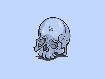 Skull Sketch anatomy digital illustration illustration illustrator procreate app skull skull art