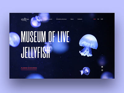 jellyfish museum website design concept design designsite desktop first screen jellyfish museum ocean sea ui ux