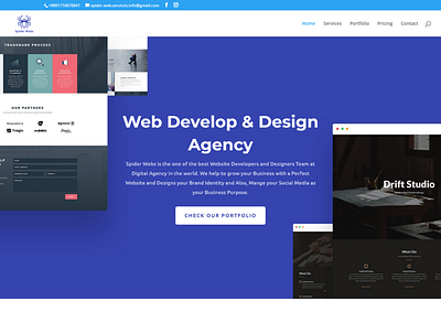 Spider Webs IT Firm Website design developer development mondol proshanto website wordpress