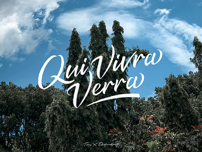 Qui Vivra Verra brushes calligraphy collaboration design lettering photoshop typography