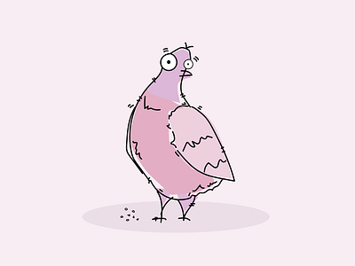 Feed the pigeon animal avatar bird character design illustration pigeon purple rebound weeklywarmup