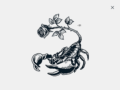 Scorpion animal art drawing flower illustration rose scorpio scorpion