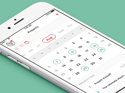 iOS Project Management App (Calendar) app calendar dashboard events gotham ios management minimal.clean project tasks todo utility