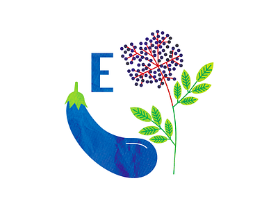 E for elderberry and eggplant abc alphabet design flat graphic design illustration minimal typography vector vegetable