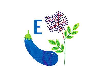 E for elderberry and eggplant