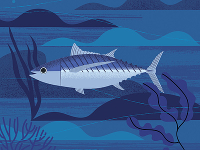 Sea Life albacore blue digital illustration fish illustration packaging illustration sea life seaweed underwater