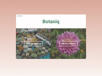 Botaniq - Botany App for Hobbyists app design figma flat minimal ui ux web website