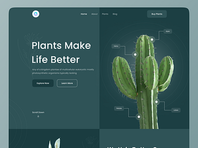 Plant - Landing Page Design clean creative design furniture store garden homepage interface interior landingpage minimal plant plant care plants pot product shop ui ux vector website