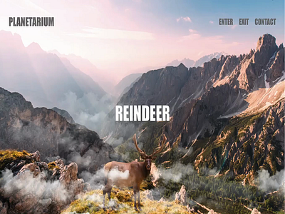 Reindeer Landing Page animal awareness campaign creativity